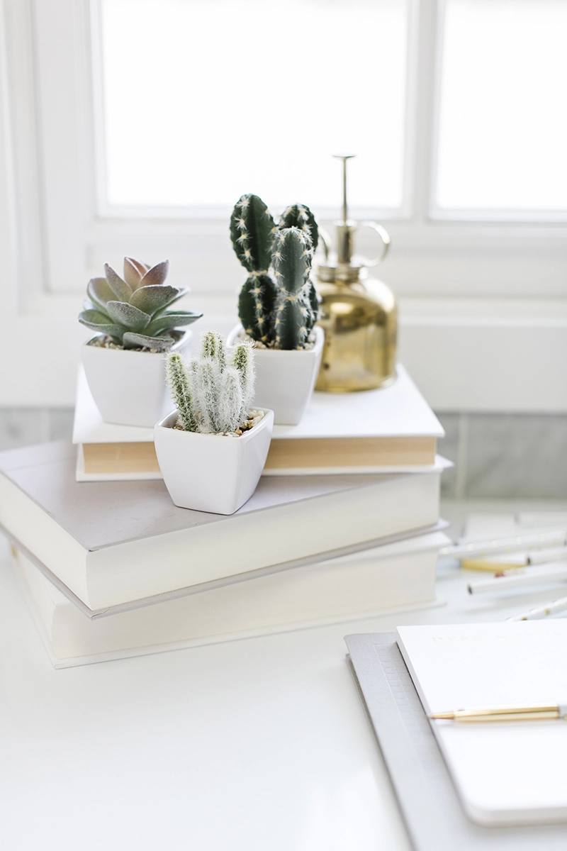 Desk setting with white tones and cactus plants