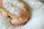 30a newborn photography by Tiffany Shae Photography, a 30A lifestyle and wedding photographer
