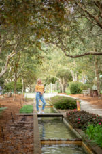 Tiffany Shae | Wedding + Lifestyle Photography